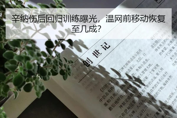 xin-na-shang-hou-hui-gui-xun-lian-bao-guang-wen-wang-qian-yi-dong-hui-fu-zhi-ji-cheng-2-282.jpg