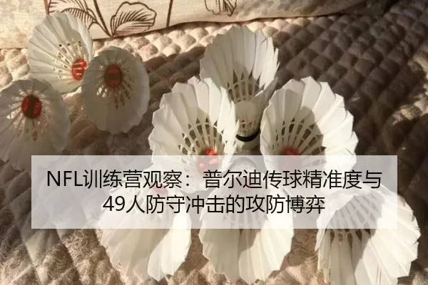 NFL训练营观察：普尔迪传球精准度与49人防守冲击的攻防博弈