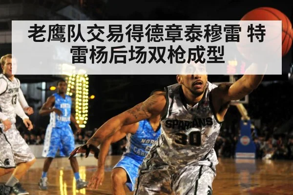 老鹰队交易得德章泰穆雷 特雷杨后场双枪成型